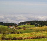 Herbst auf dem Schauinsland