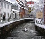 Fischerau Freiburg