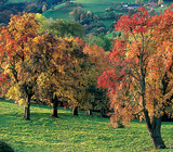 Herbstlandschaft