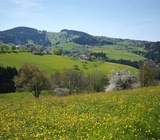 Horben Panorama