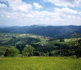 Horben Panorama