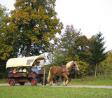 Kutschfahrt beim Reeslehof