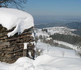 Horben im Winter