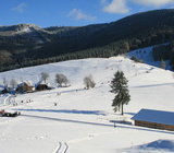 Rodelbahn in Horben