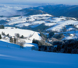 Winterlandschaft um Horben