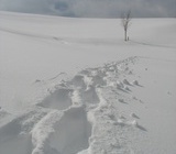 Spuren im Schnee