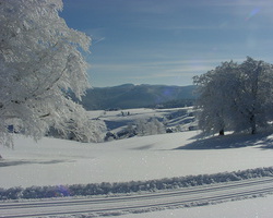 Winter auf dem Schauinsland