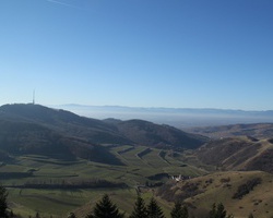 Blick ber den Kaiserstuhl vom Eichelspitzturm